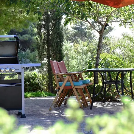 Pear Tree Ληξούρι