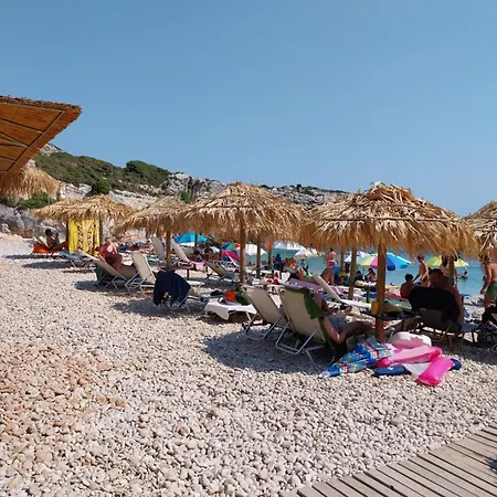 Pear Tree * Ληξούρι